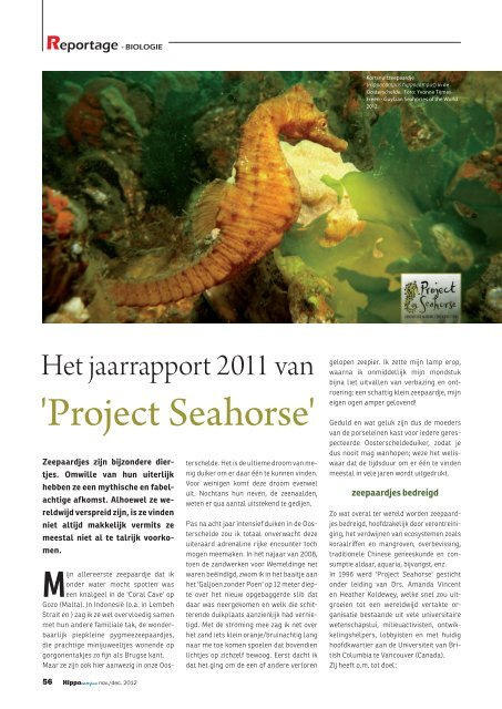 Hippocampus nr. 241 (november/december 2012) - volledige uitgave