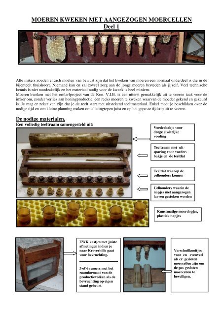 8. Moeren kweken met het overlarfproject van de Kon.V.I.IB. - Base