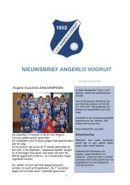 Digitale nieuwsbrief nr8 (24 januari 2011) - Angerlo Vooruit