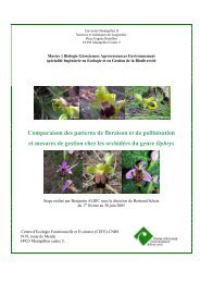 Comparaison des patterns de floraison et de pollinisation et ...