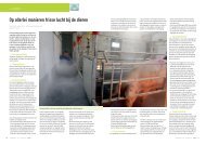 Op allerlei manieren frisse lucht bij de dieren - Varkensbedrijf