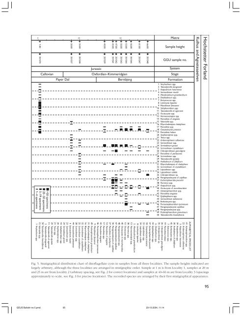 GEUS Bulletin no 5.pmd