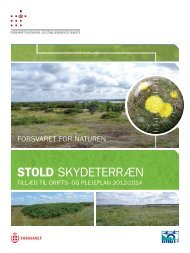 Stold skydeterræn