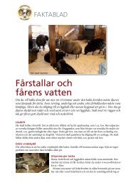 Fårstallar och fårens vatten