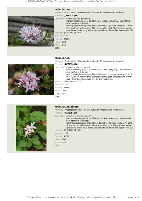 Rhododendron, løvfældende - Rhodospecialisten.dk