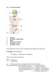 H14 Het hormonenstelsel 2 Hypofyse 3 Schildklier en Bijschildklier ...