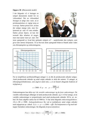 En opgave med en økonomimodel - matematikfysik