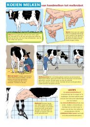 Koeien melken (PDF) - Zuivelonline