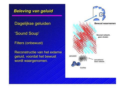 Laag Frequente Tinnitus of Laag Frequent Geluid? Is er een verschil ...