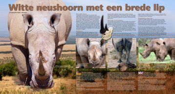 Bekijk hier de uitgebreide diereninformatie... - GaiaZOO