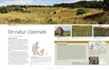 din natur i danmark - Danmarks Naturfredningsforening