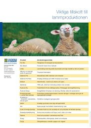 Viktiga tillskott till lammproduktionen - Svenska Foder