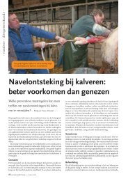 Navelontsteking bij kalveren: beter voorkomen ... - Universiteit Gent
