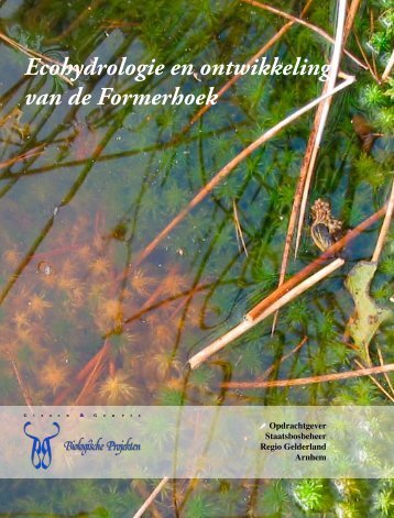 Ecohydrologie en ontwikkeling van de Formerhoek - Giesen & Geurts