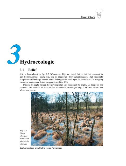 Ecohydrologie en ontwikkeling van de Formerhoek - Giesen & Geurts