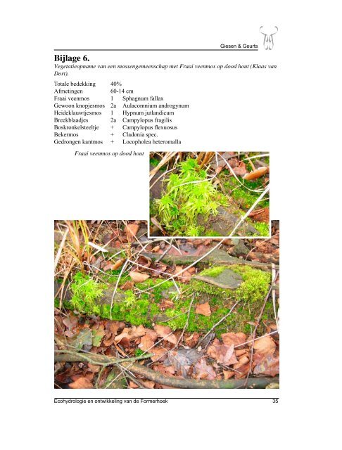 Ecohydrologie en ontwikkeling van de Formerhoek - Giesen & Geurts