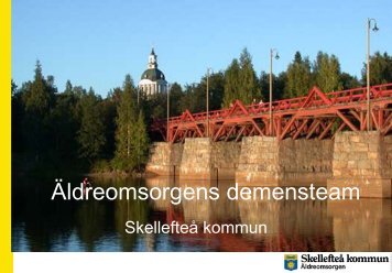 Skellefteå / sammanställning av delrapport 2011 - BPSD