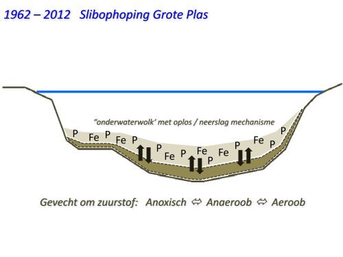 Maarsseveense plassen, Hydrologische en ... - HSV Maarssen