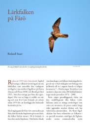 Lärkfalken på Fårö 1974 – 2008