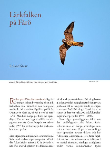 Lärkfalken på Fårö 1974 – 2008