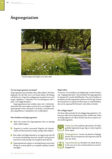 Ängsvegetation - Veg Tech