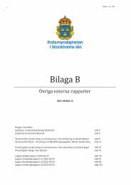 Bilaga B