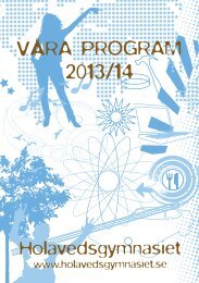 Programkatalog läsåret 2013-2014 - Holavedsgymnasiet