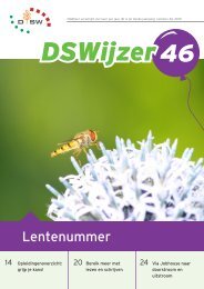 Lentenummer - DSW