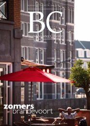 zomers brandevoort - BCSERVER