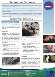 Technology factsheet: Briquettes production - GVEP International
