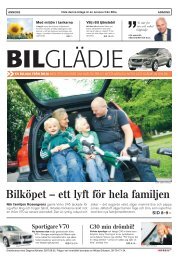 BILGLÄDJE