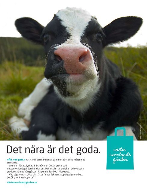 Modiga krögares goda sommartipsSidan 5 Så ... - NARINGSLIV.to