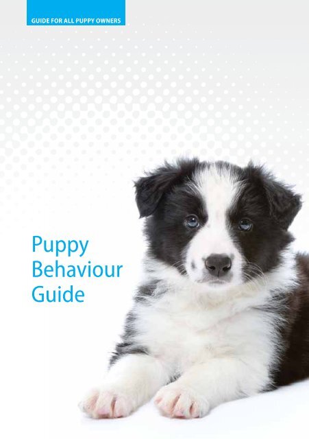 puppy behaviour