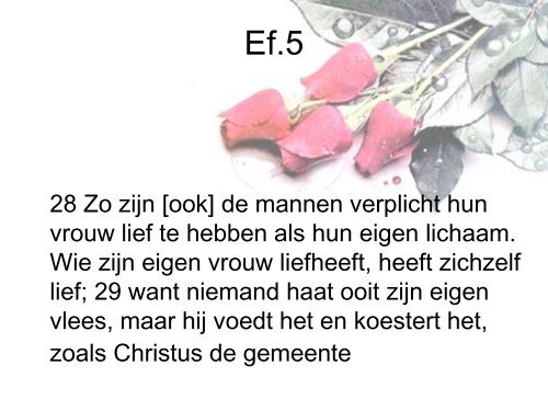 2012-11-14-Seksualiteit .pdf - evangeliegemeenteroderesch.nl