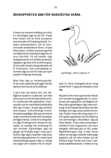 Fåglar i nordöstra Skåne 2008 - spoven
