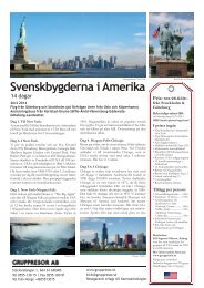 Svenskbygderna i Amerika