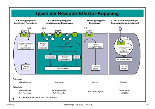 Pathobiologie/Pathobiochemie Teil 2 Lektion 8 8.11.10 ... - Alex Eberle