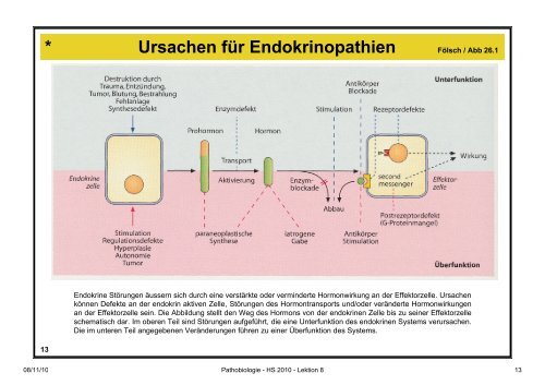 Pathobiologie/Pathobiochemie Teil 2 Lektion 8 8.11.10 ... - Alex Eberle