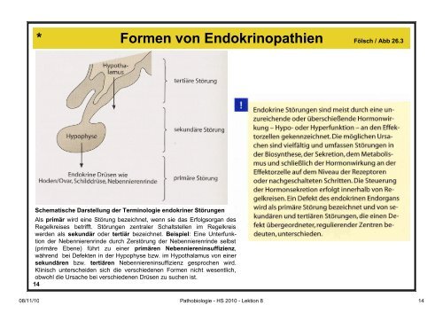 Pathobiologie/Pathobiochemie Teil 2 Lektion 8 8.11.10 ... - Alex Eberle