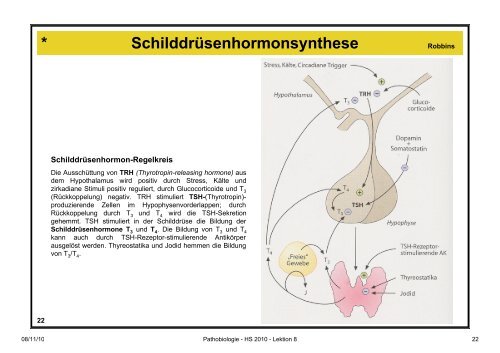 Pathobiologie/Pathobiochemie Teil 2 Lektion 8 8.11.10 ... - Alex Eberle