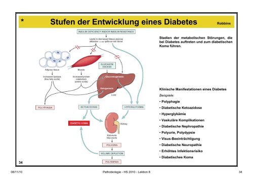 Pathobiologie/Pathobiochemie Teil 2 Lektion 8 8.11.10 ... - Alex Eberle