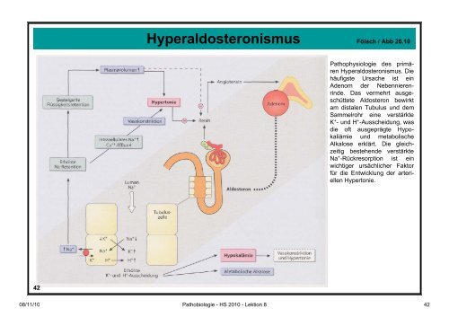 Pathobiologie/Pathobiochemie Teil 2 Lektion 8 8.11.10 ... - Alex Eberle