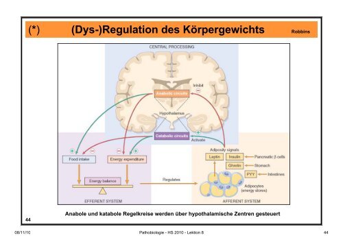 Pathobiologie/Pathobiochemie Teil 2 Lektion 8 8.11.10 ... - Alex Eberle