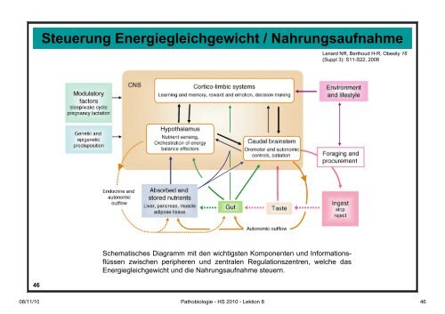 Pathobiologie/Pathobiochemie Teil 2 Lektion 8 8.11.10 ... - Alex Eberle