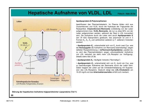 Pathobiologie/Pathobiochemie Teil 2 Lektion 8 8.11.10 ... - Alex Eberle