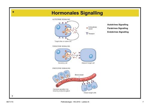 Pathobiologie/Pathobiochemie Teil 2 Lektion 8 8.11.10 ... - Alex Eberle
