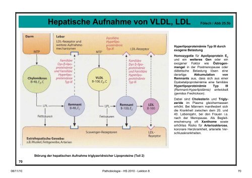 Pathobiologie/Pathobiochemie Teil 2 Lektion 8 8.11.10 ... - Alex Eberle