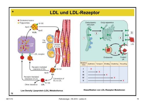 Pathobiologie/Pathobiochemie Teil 2 Lektion 8 8.11.10 ... - Alex Eberle