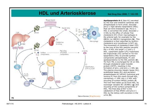 Pathobiologie/Pathobiochemie Teil 2 Lektion 8 8.11.10 ... - Alex Eberle