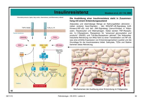 Pathobiologie/Pathobiochemie Teil 2 Lektion 8 8.11.10 ... - Alex Eberle